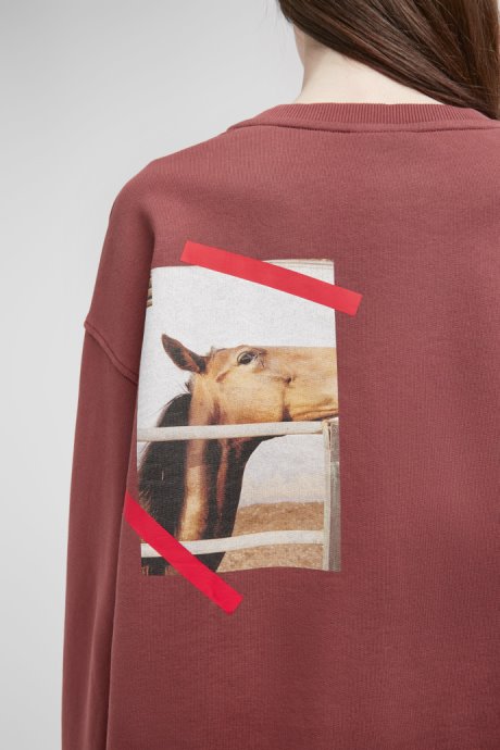 Exclusive Camper Sweatshirt Burgundy Sweatshirt With Horse Print