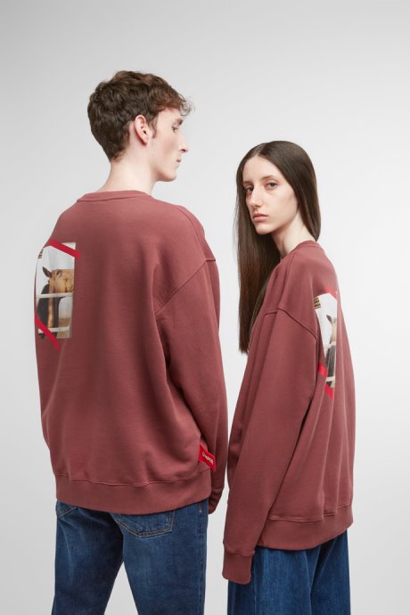 Exclusive Camper Sweatshirt Burgundy Sweatshirt With Horse Print