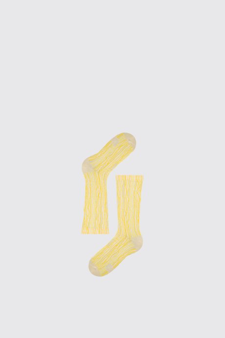 Design Dripo Sox Multicoloured Unisex Socks Camper